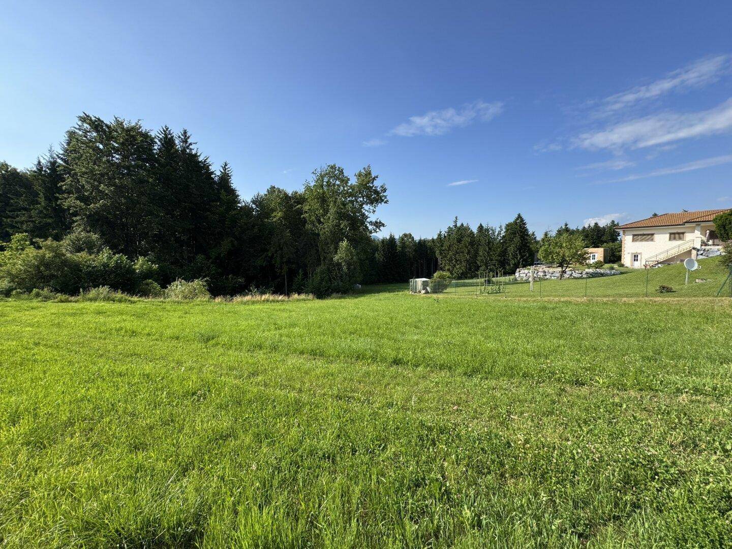 Weitläufige grüne Landschaft mit Waldrand und vereinzelten Häusern unter klarem blauem Himmel.