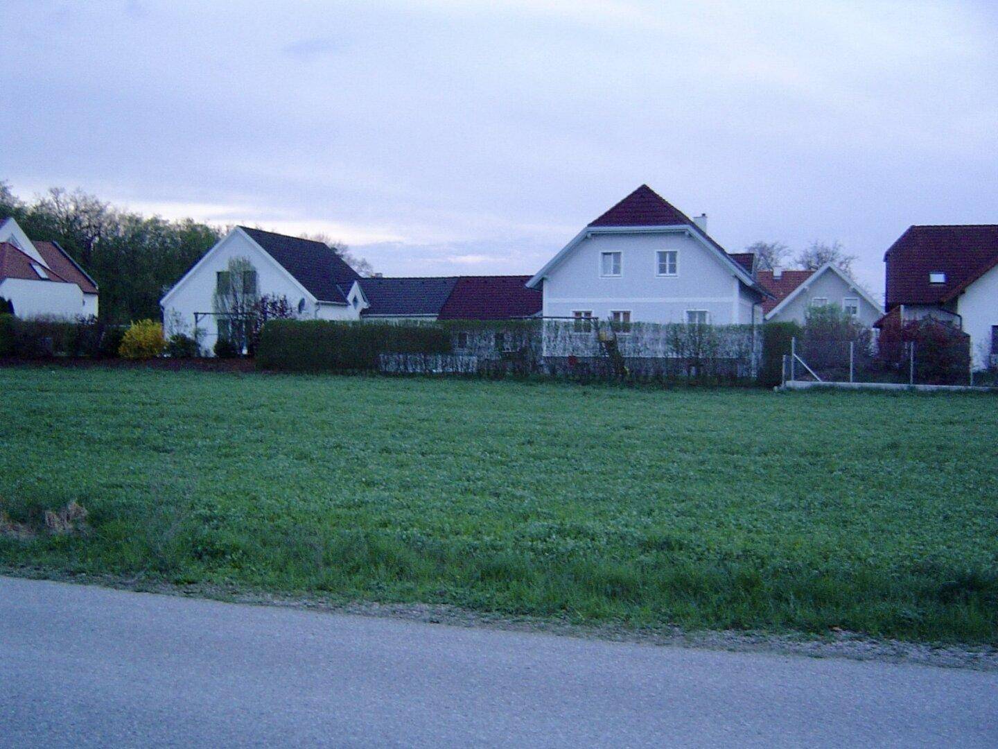 Grüne Wiese mit Wohnhäusern und einer Hecke im Hintergrund, begrenzt durch eine Straße.