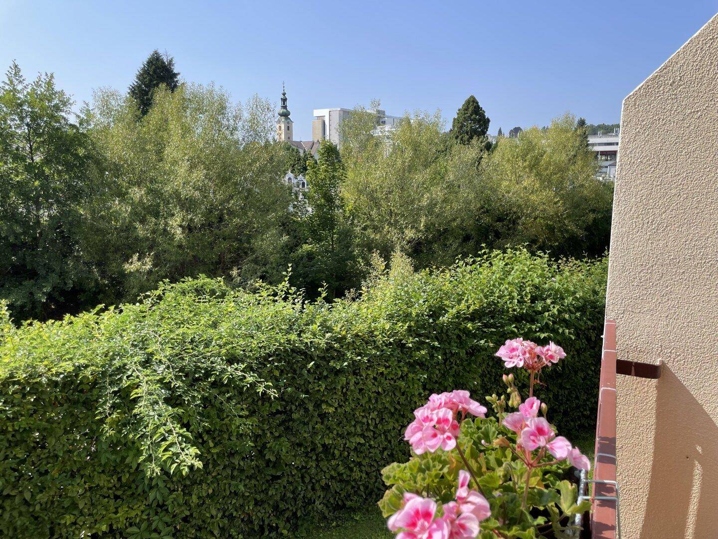 Balkon mit Blumen und weitem Blick ins Grüne und auf die Stadt.