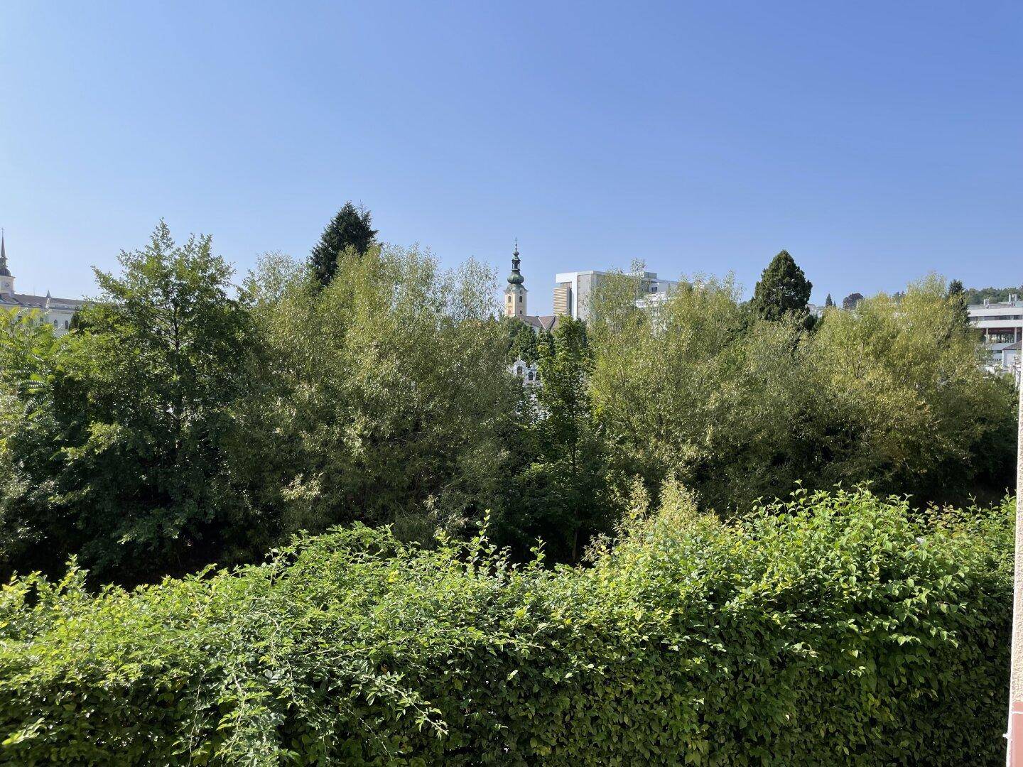 Weitläufiger Blick ins Grüne mit Bäumen und einem Kirchturm in der Ferne.