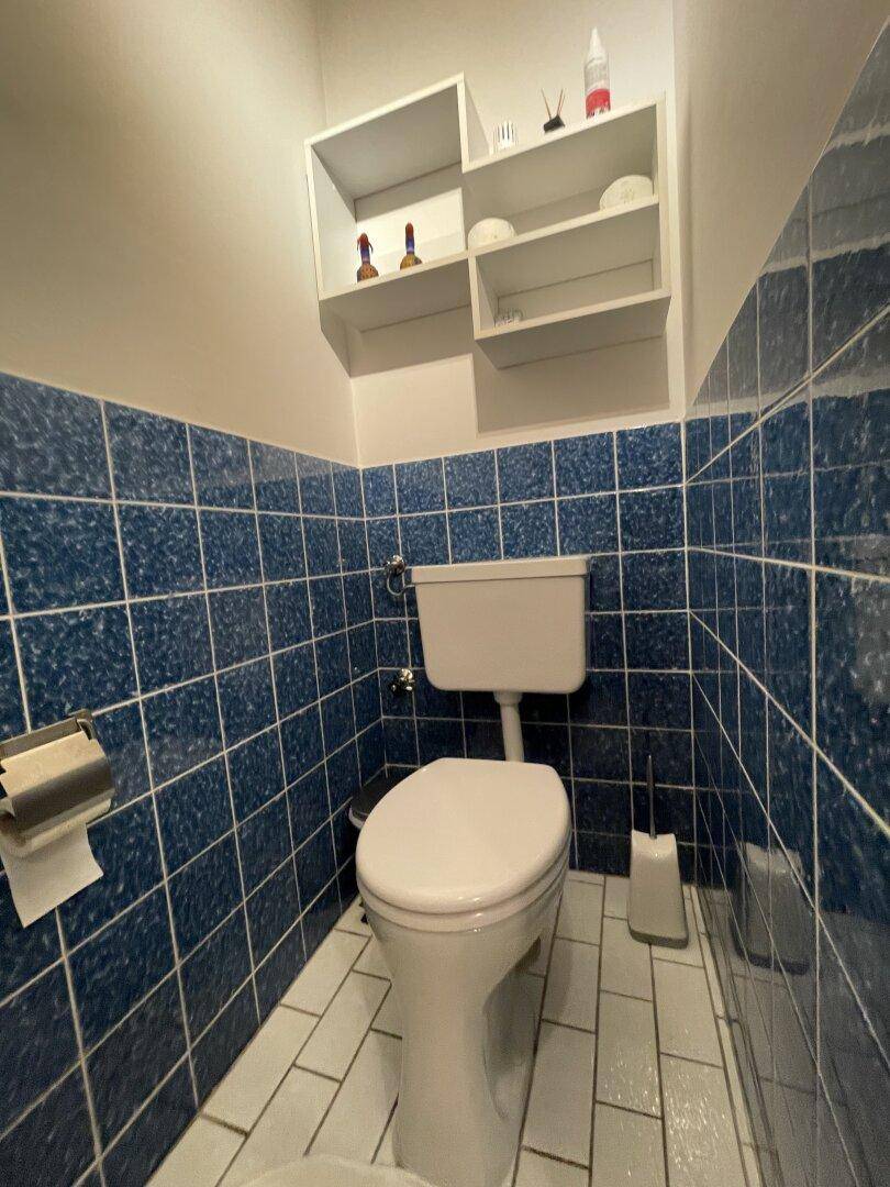 Separate Toilette mit blauen Wandfliesen und weißer Keramik.