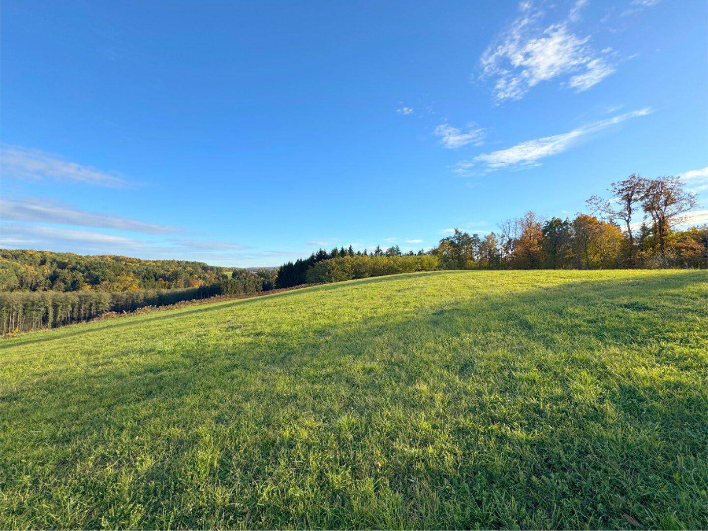 Idyllische grüne Wiese mit weitem Blick auf die umliegenden Wälder und die ländliche Landschaft.