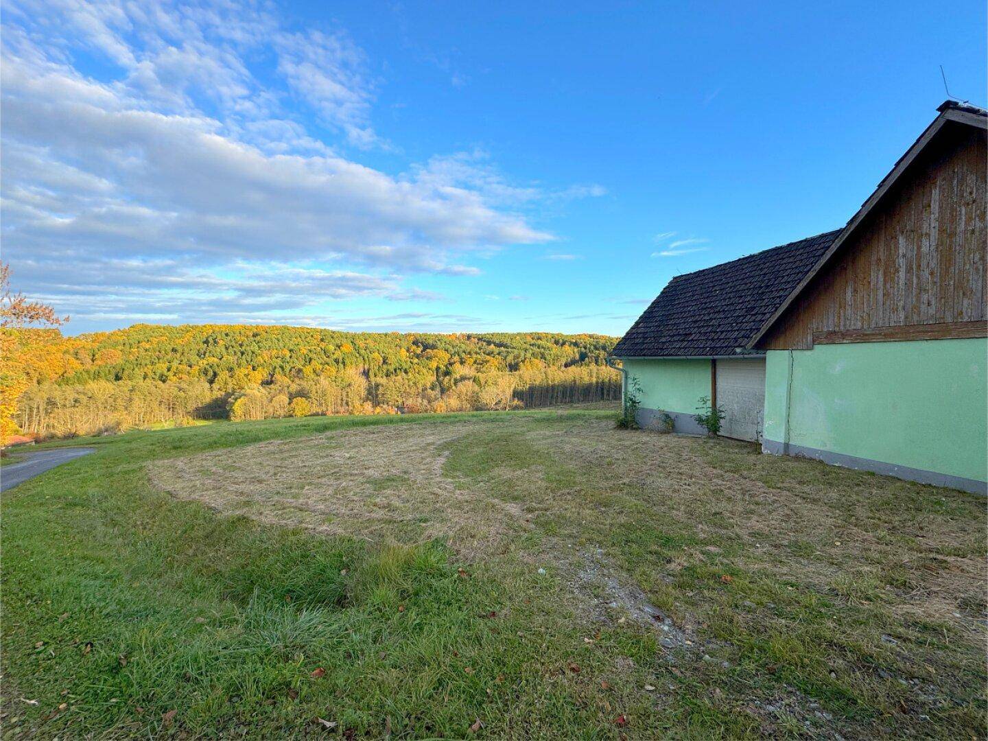 Seitenansicht des ländlichen Hauses mit grüner Fassade und angrenzender Wiesenfläche unter blauem Himmel.