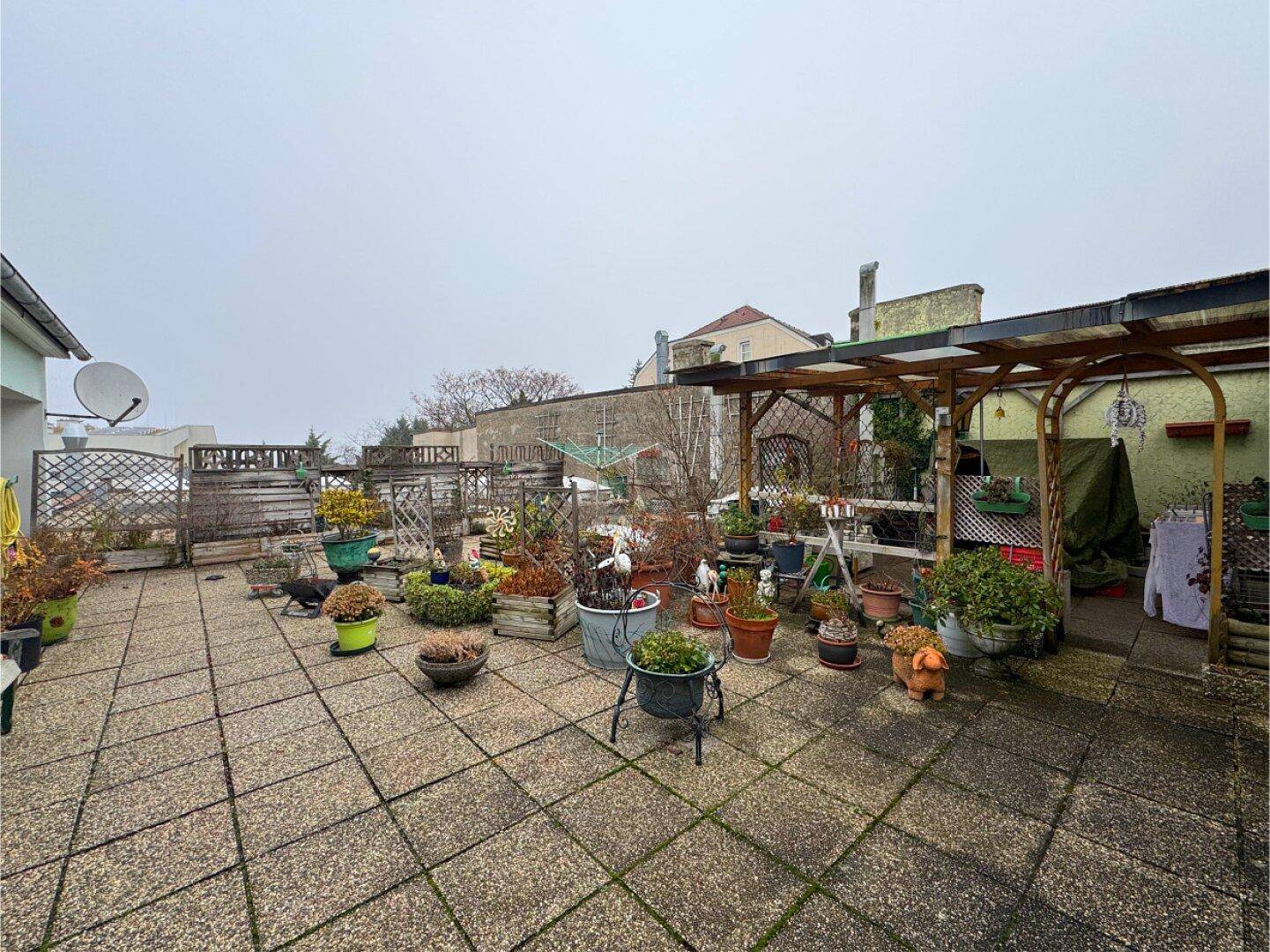 Große Dachterrasse mit vielen Pflanzen, Pflastersteinen und einer Holzpergola.