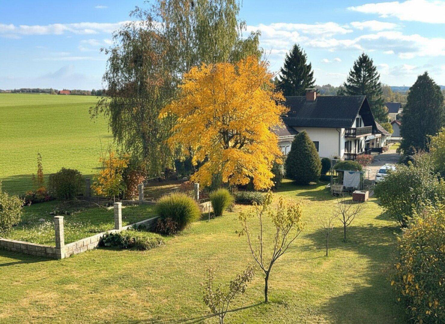 Großer Garten mit Rasenfläche, Bäumen und einem Haus im Hintergrund, umgeben von weiten Feldern.