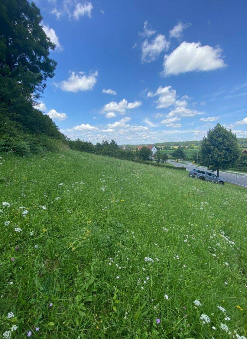 LOIPERSDORF! Großes Grundstück an der Thermenstraße zu verkaufen! - Ansicht 4
