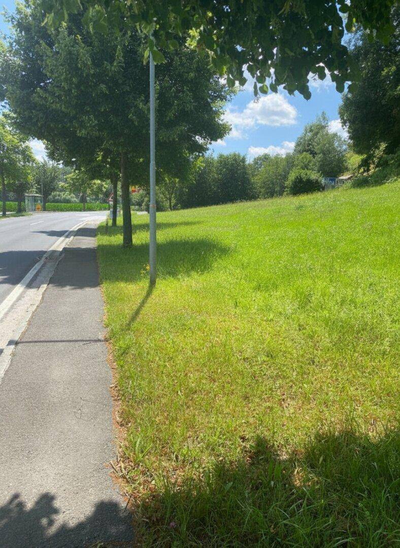 LOIPERSDORF! Großes Grundstück an der Thermenstraße zu verkaufen! - Ansicht 5