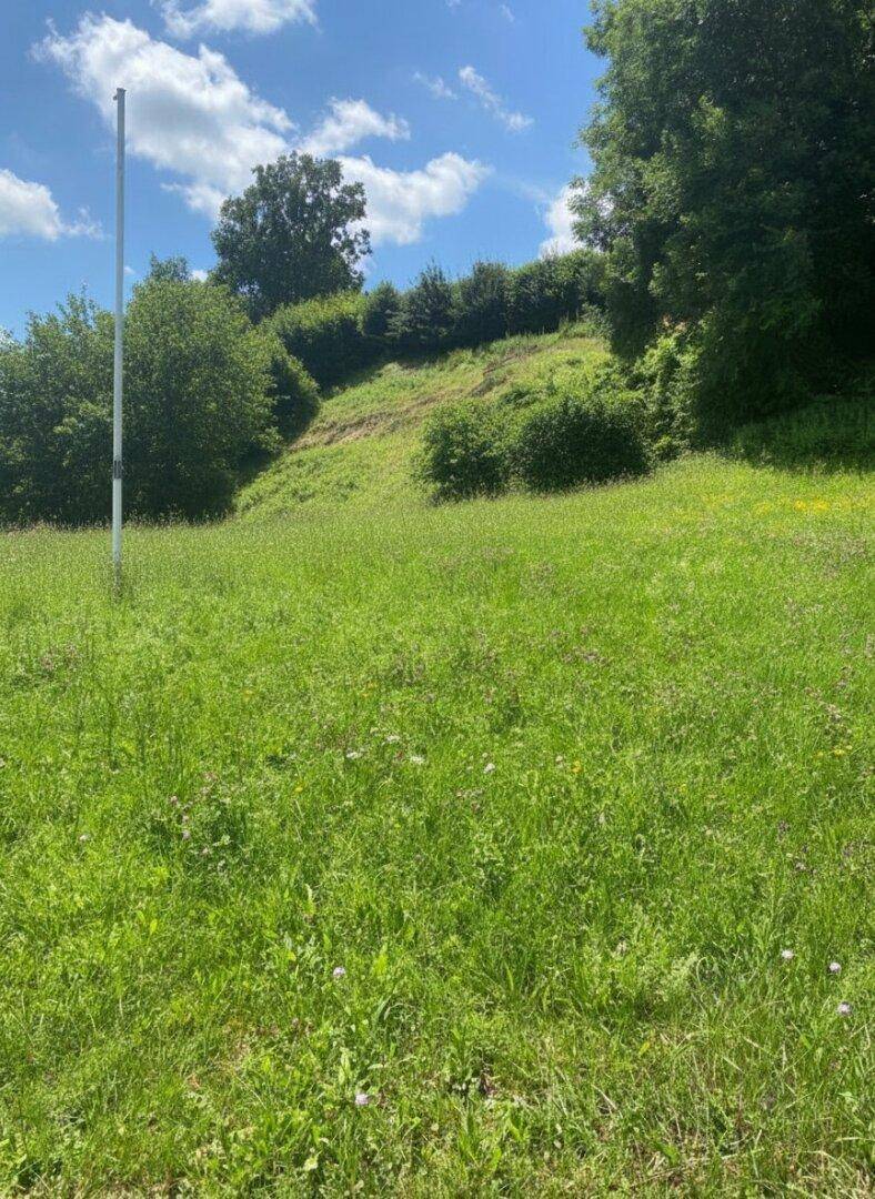 LOIPERSDORF! Großes Grundstück an der Thermenstraße zu verkaufen! - Ansicht 2