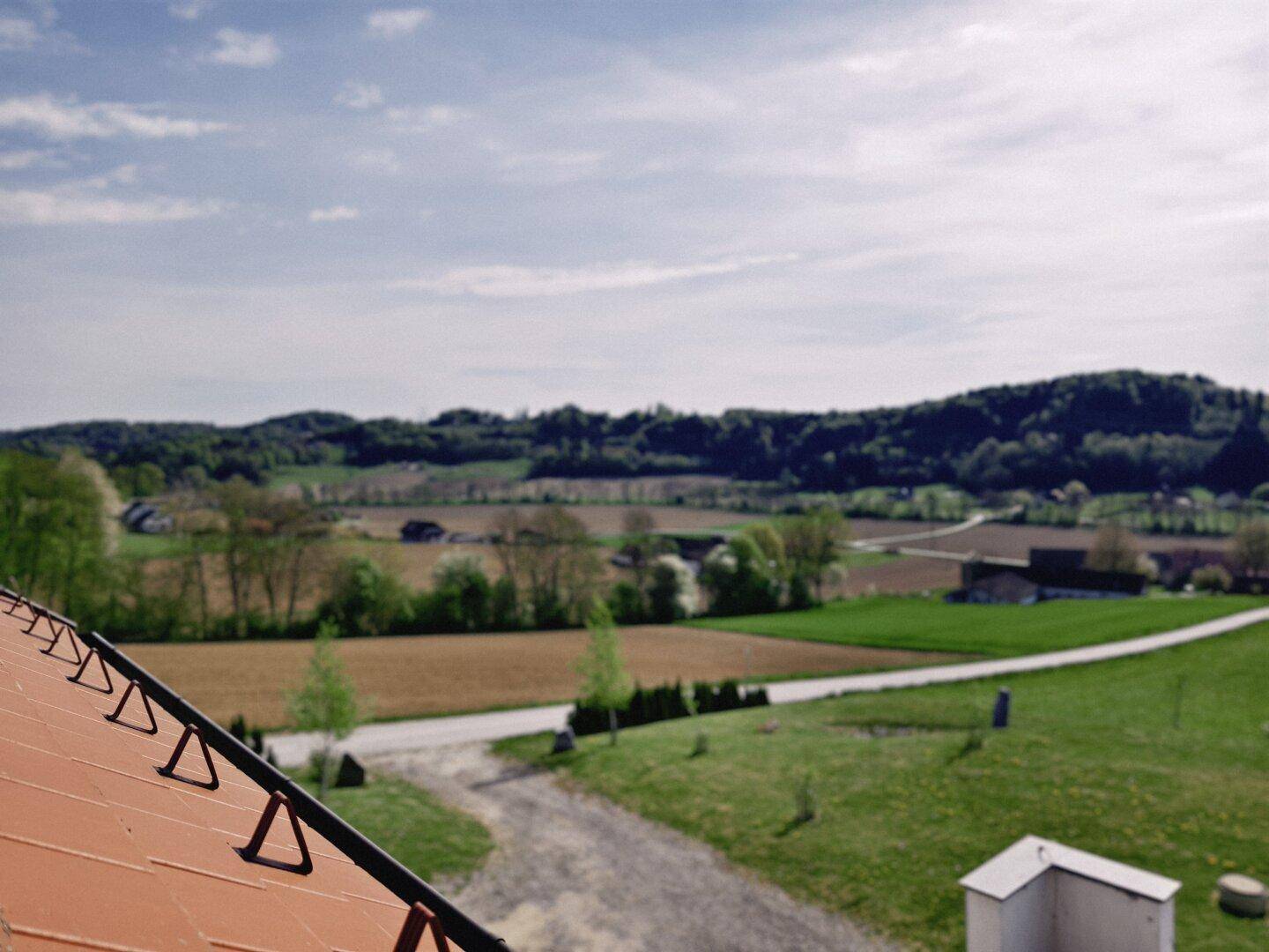 Weitläufiger Ausblick von der Terrasse über die grüne Landschaft mit Feldern und einem Schotterweg.