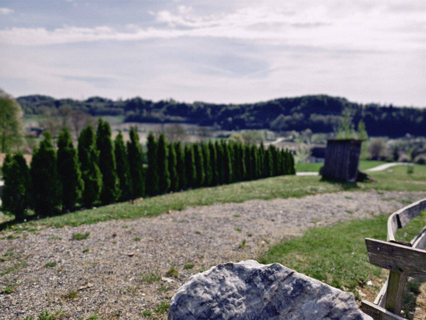 Gepflegte Hecke im Gartenbereich mit Schotterweg und weitem Blick in die Landschaft.