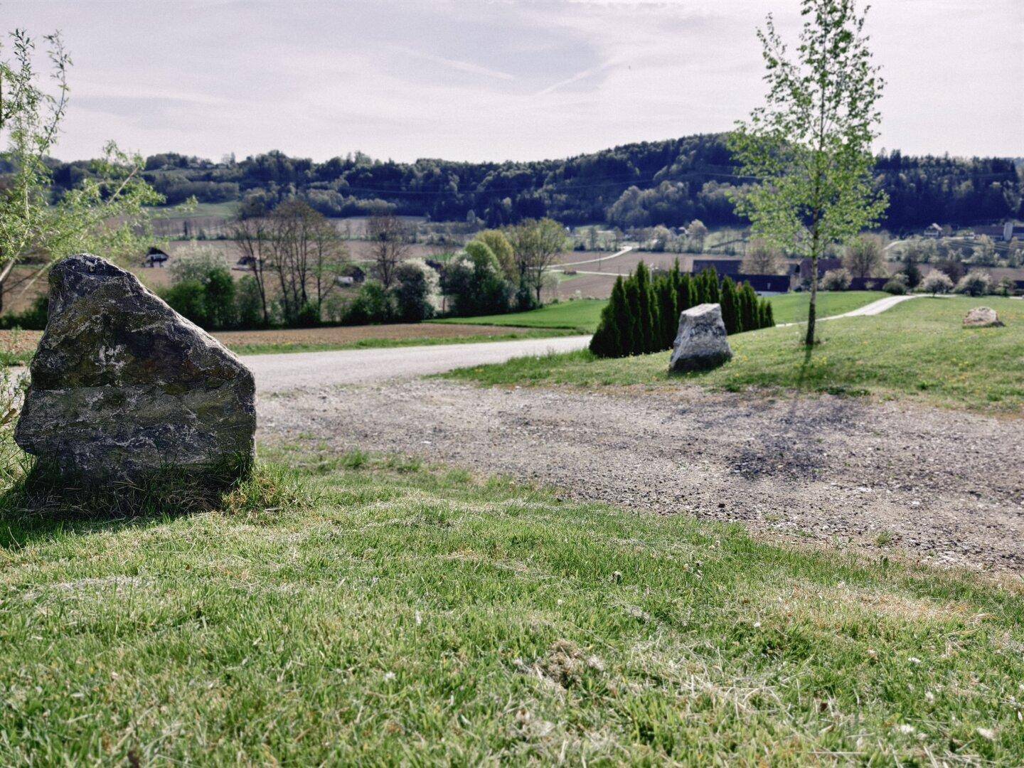 Zufahrt zum Anwesen mit Schotterweg, jungen Bäumen und weitem Blick über die ländliche Landschaft.