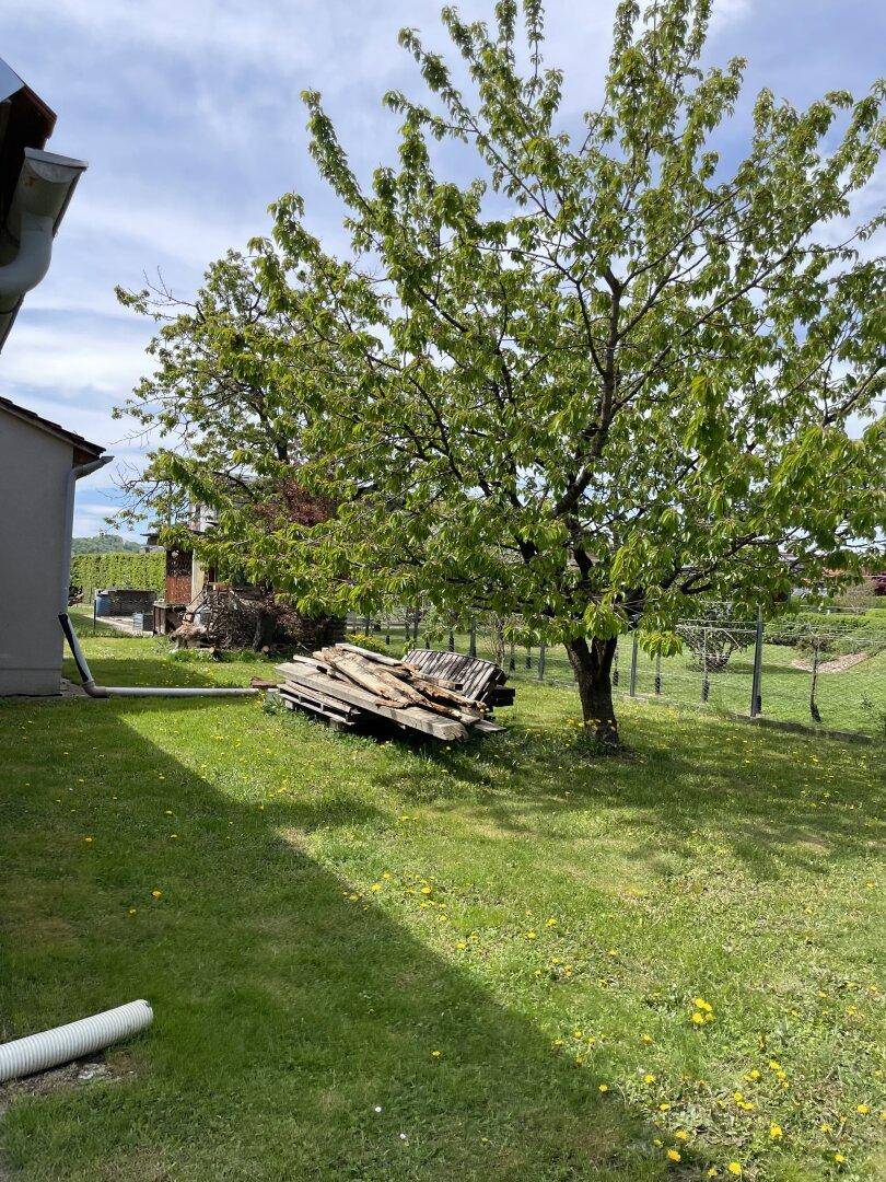 Großer Garten mit Rasenfläche, hohen Bäumen und einem Holzstapel im Grünen.