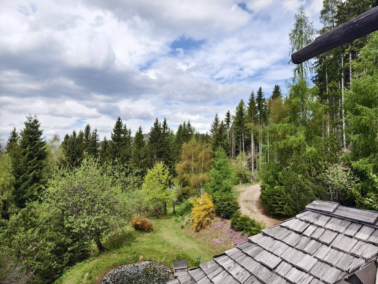 Weitläufiger Blick über ein Holzschindeldach auf die umliegende Wald- und Berglandschaft.