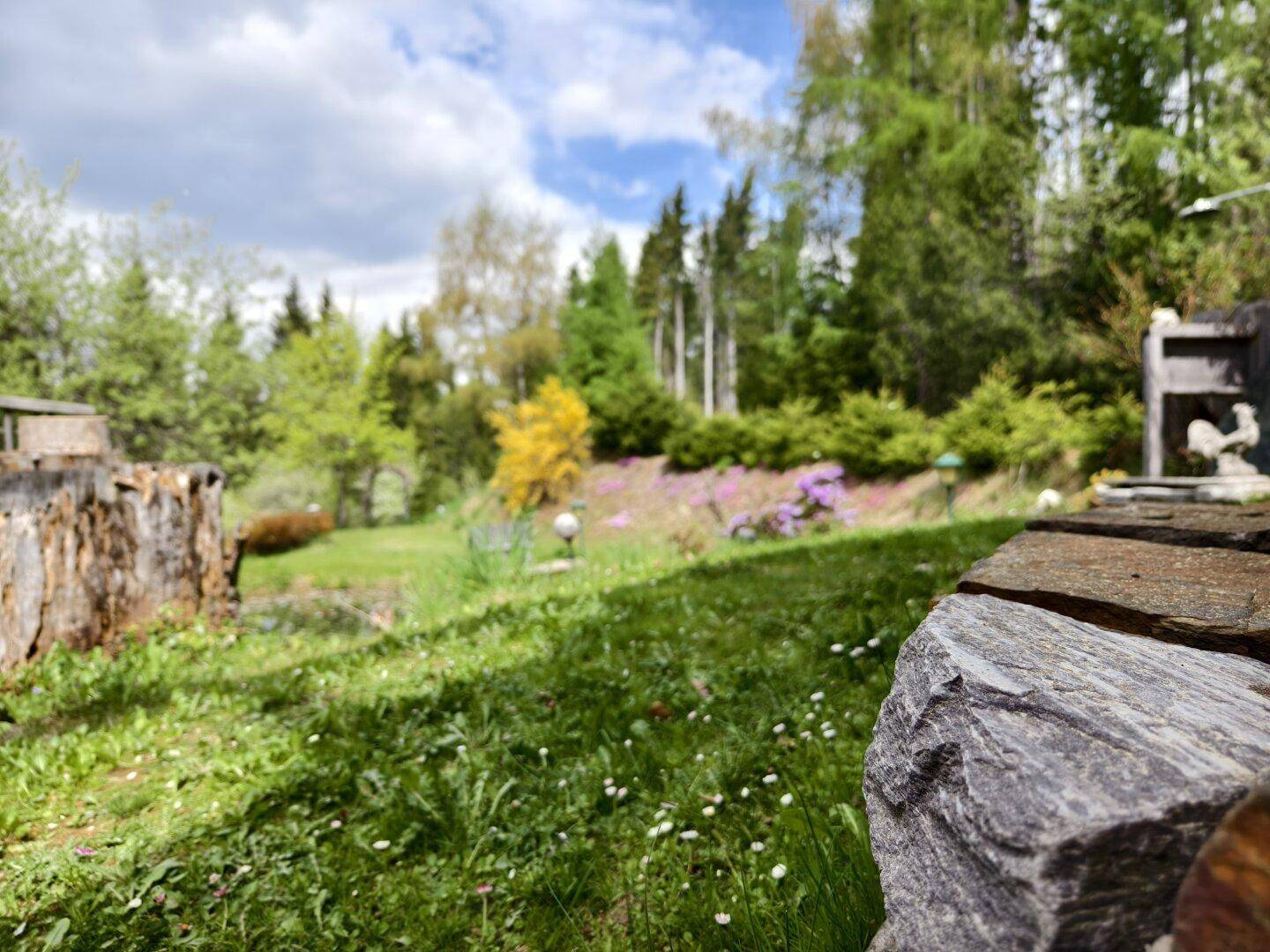 Idyllischer Gartenbereich mit grüner Wiese, bunten Blumen und hohen Bäumen unter blauem Himmel.