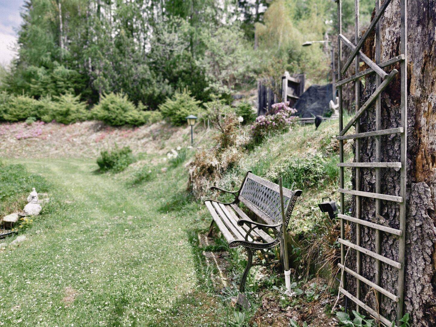 Ruhiger Gartenbereich mit einer Holzbank und üppiger Vegetation im Hintergrund, ideal zum Entspannen.