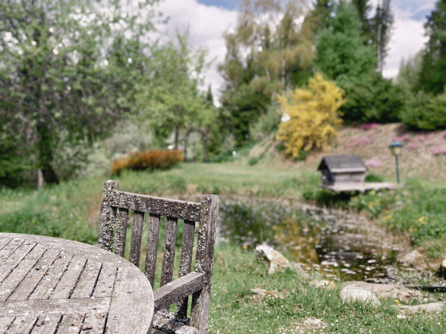 Entspannter Gartenbereich mit einem kleinen Teich, umgeben von Grünflächen und einem rustikalen Holztisch.