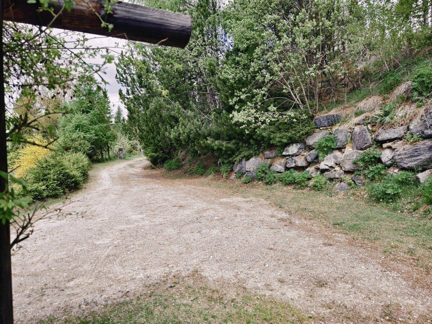 Unbefestigter Weg führt durch eine grüne Landschaft mit Bäumen und einer Steinmauer im Hintergrund.