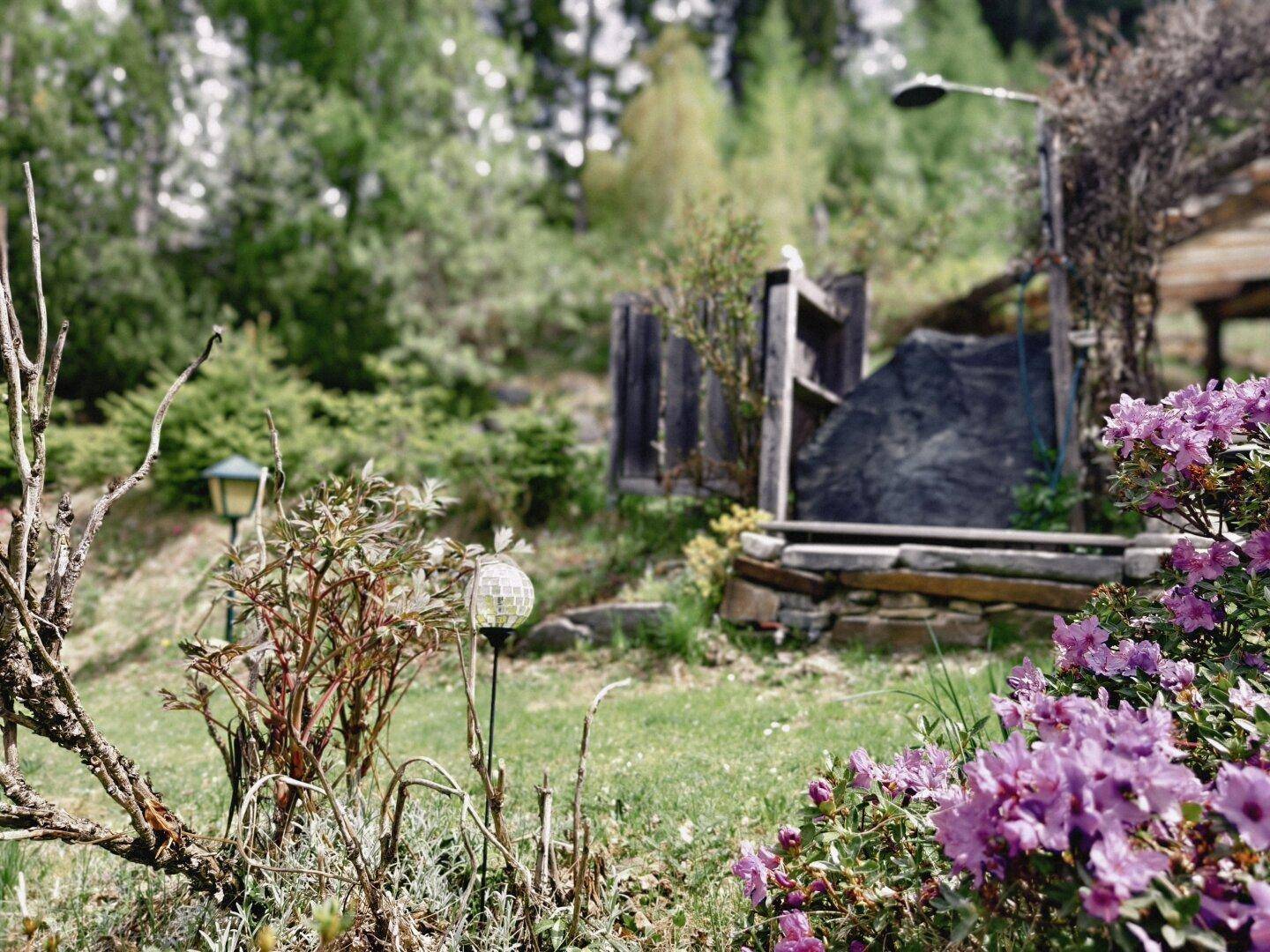 Blühender Gartenbereich mit lila Rhododendren und einem steinernen Pfad, umgeben von Bäumen.