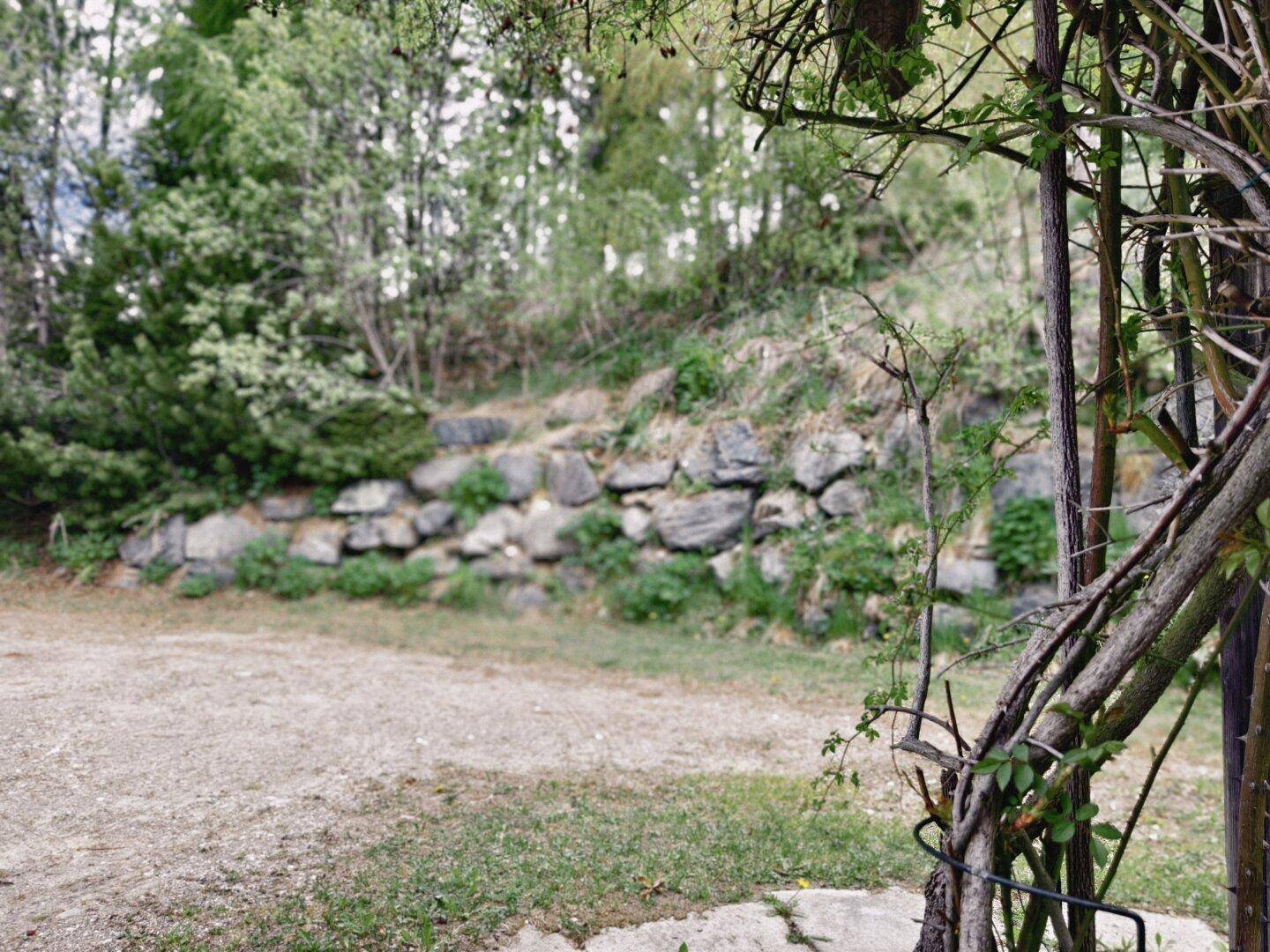 Unbefestigter Bereich mit einer Steinmauer und üppiger Vegetation, umgeben von Bäumen.