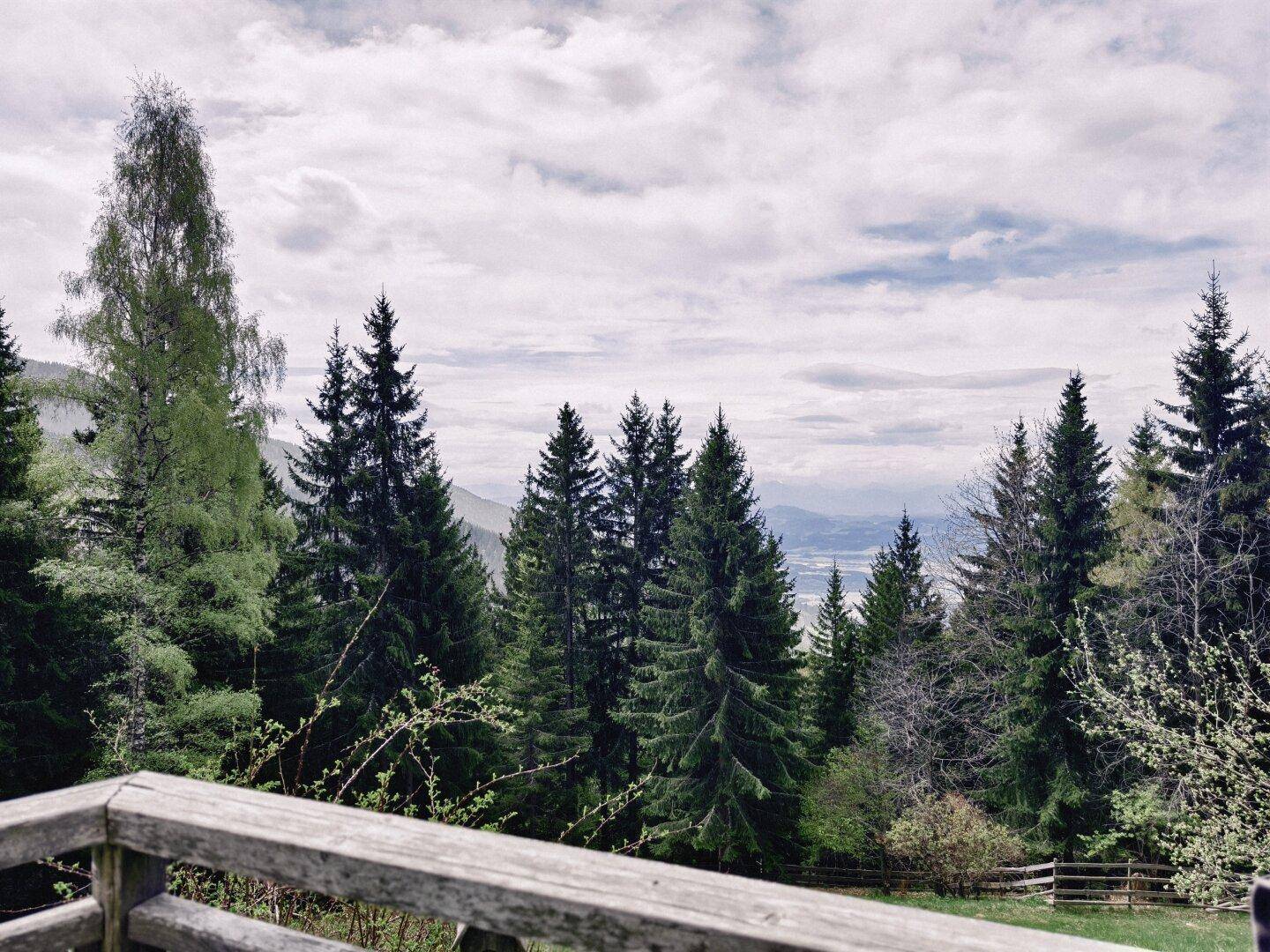 Panoramablick über eine weite Waldlandschaft mit hohen Nadelbäumen und einem bewölkten Himmel.