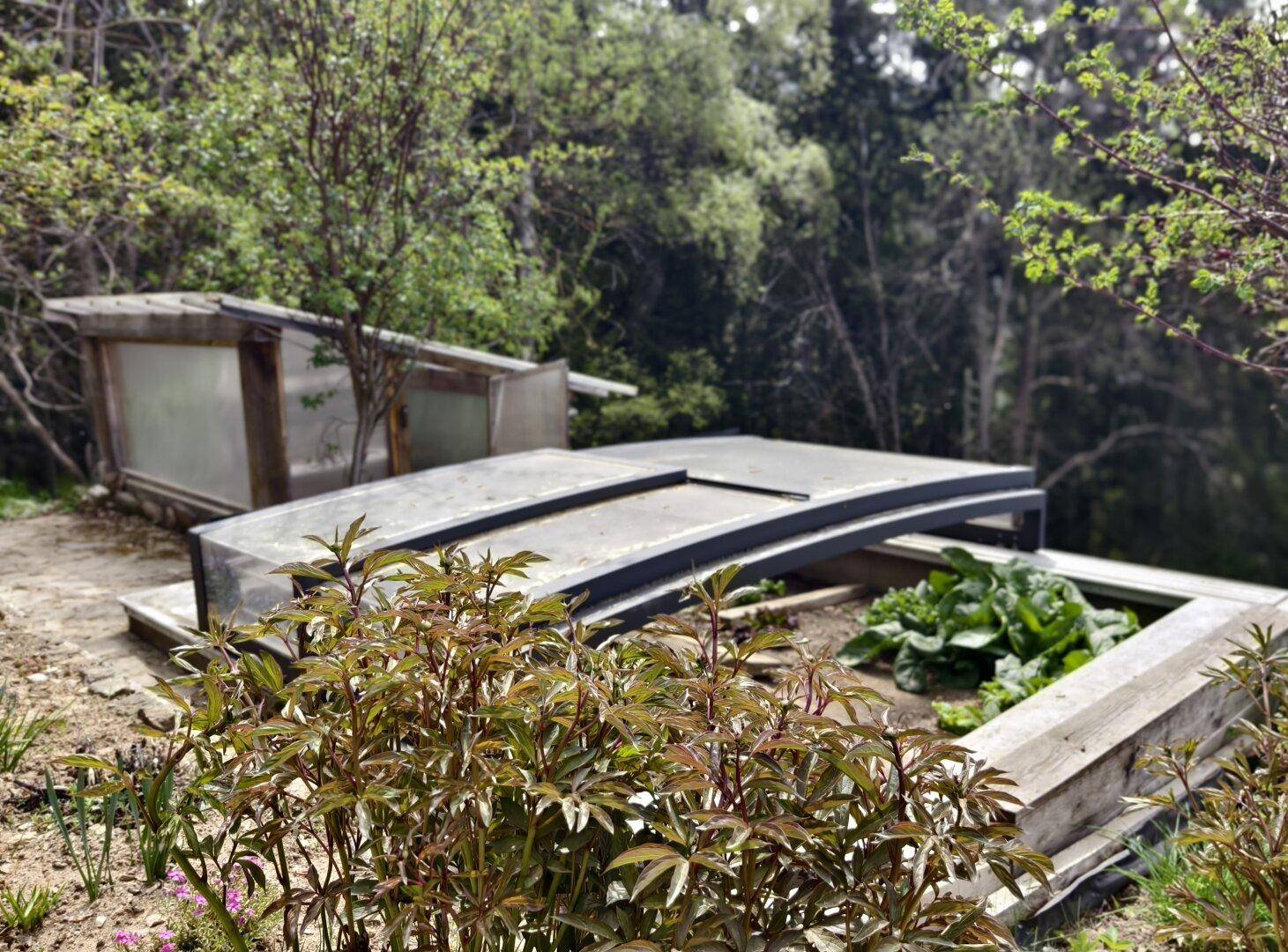 Gemüsegarten mit Hochbeeten und Frühbeetkästen, umgeben von dichter Waldvegetation.