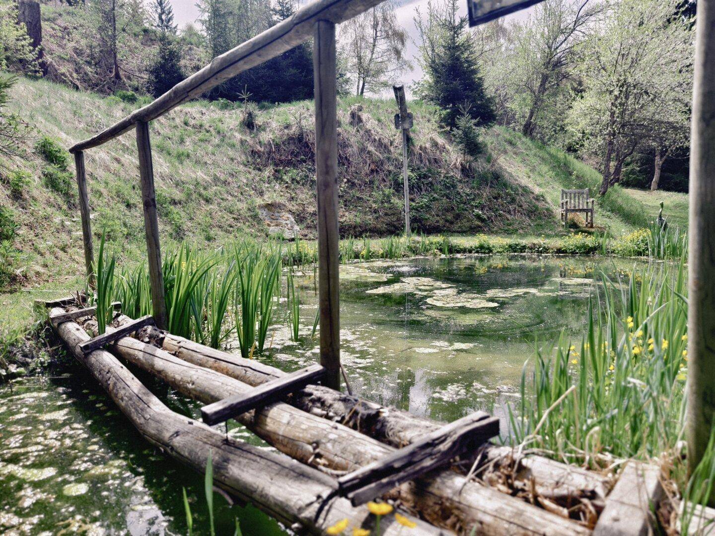 Idyllischer Teich mit einer rustikalen Holzbrücke und Wasserpflanzen, umgeben von grüner Natur.