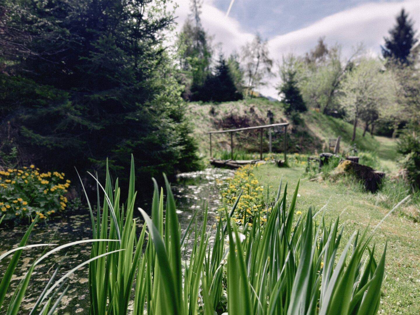 Natürlicher Teich mit gelben Blumen und üppigem Grün in einer idyllischen Gartenlandschaft.