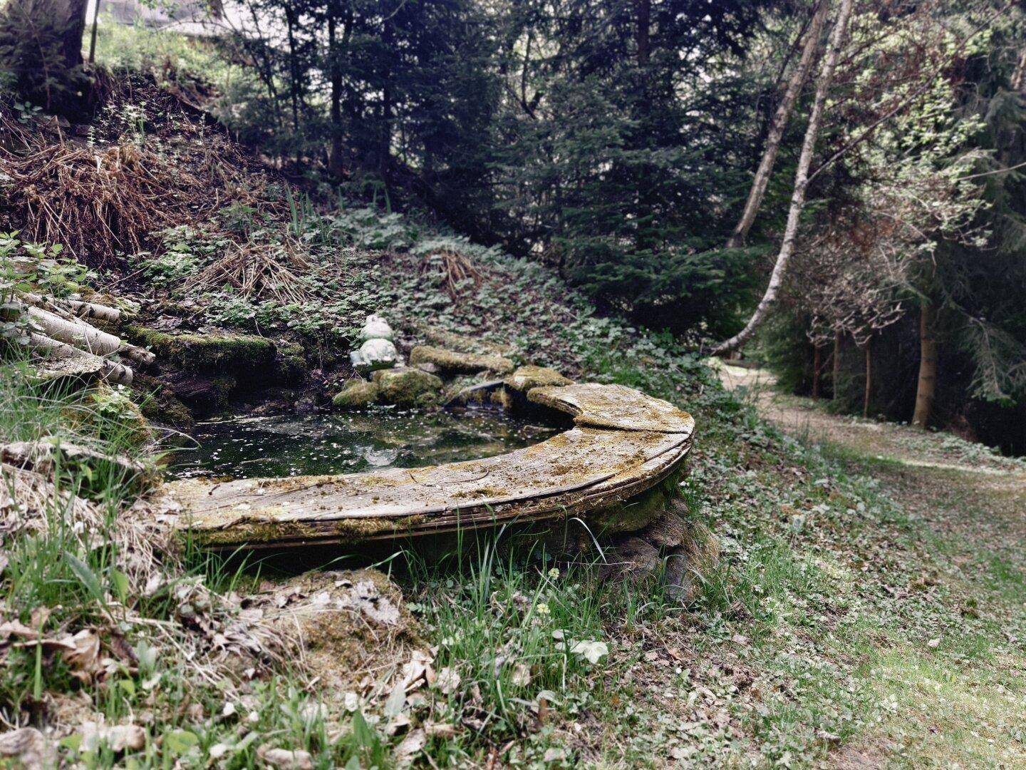 Kleiner, moosbewachsener Teich mit Steineinfassung in einer bewaldeten Gartenumgebung.