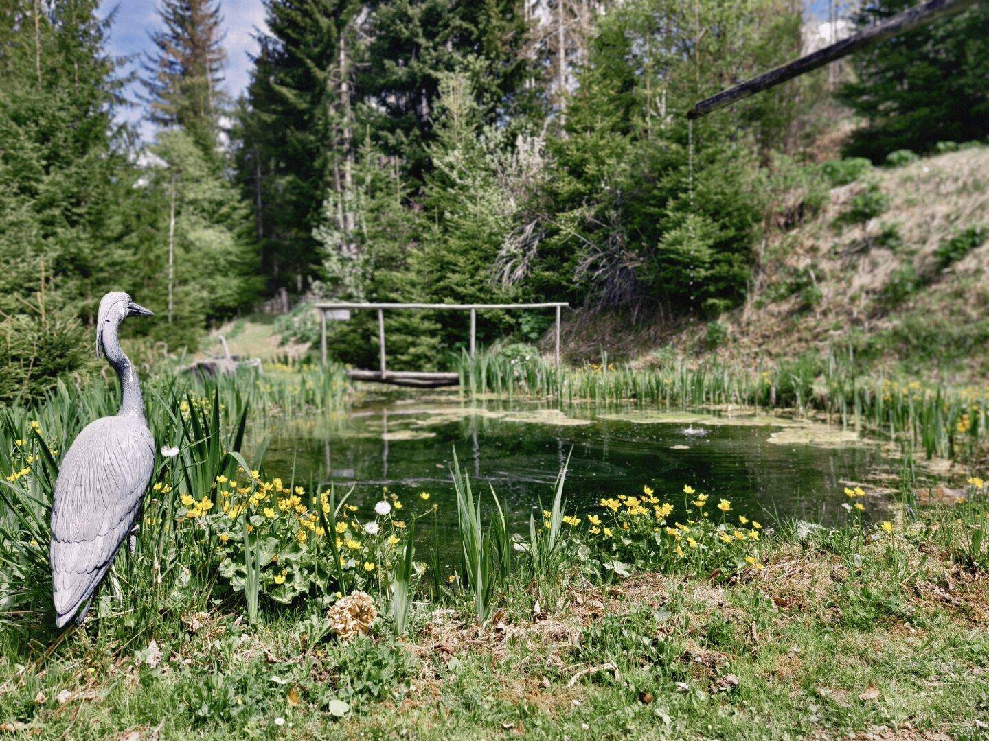 Großer Teich mit Schilf und gelben Blumen, geschmückt mit einer Reiherstatue im Garten.