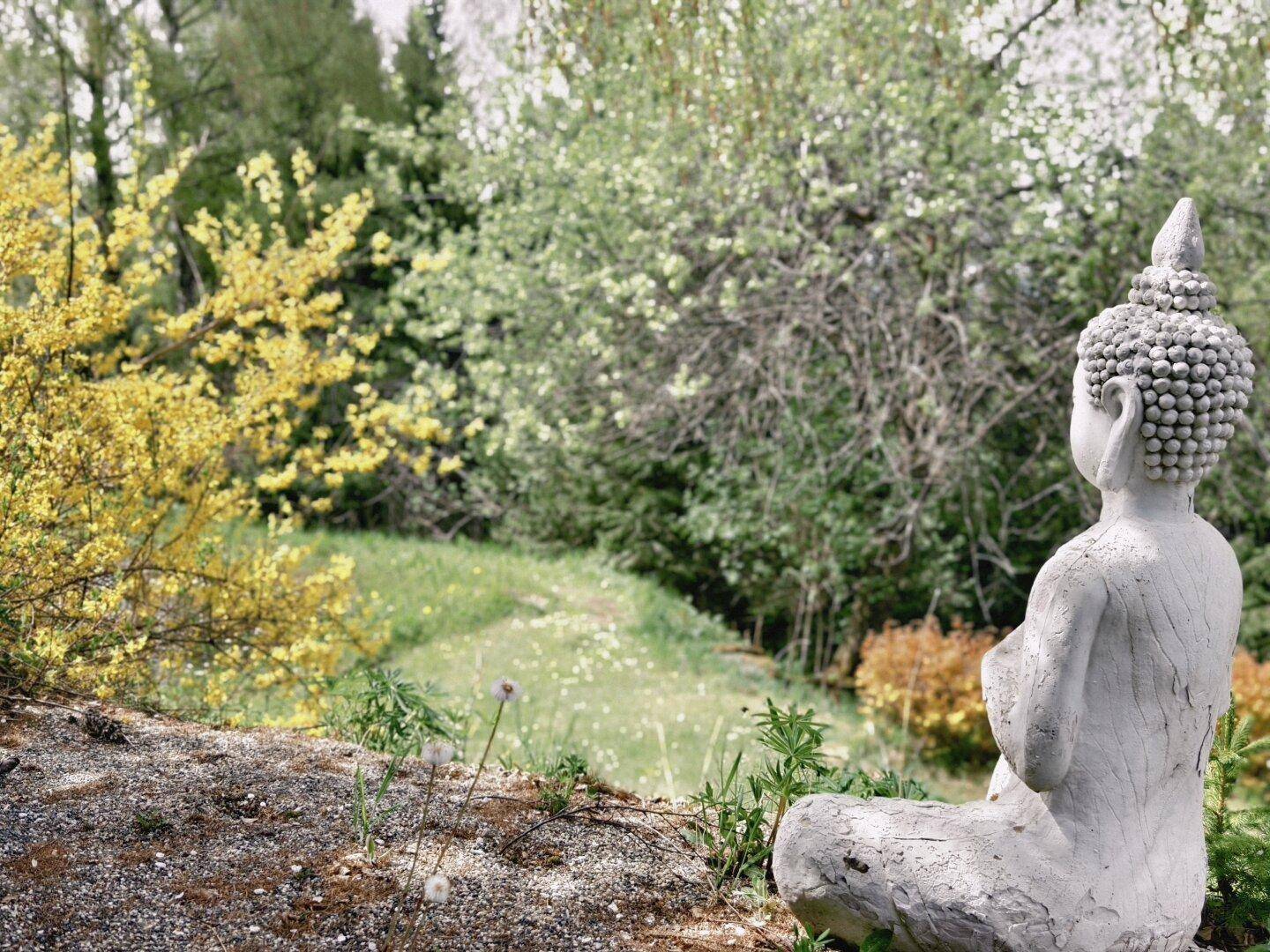 Buddha-Statue in einem ruhigen Gartenbereich mit blühenden Bäumen und grüner Landschaft.