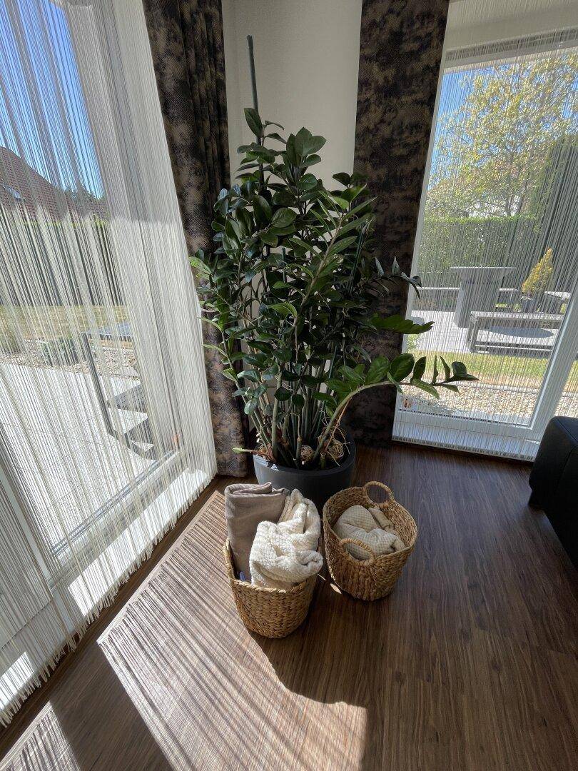 Detailansicht eines großen Fensters im Wohnzimmer mit Vorhängen und einer hohen Zimmerpflanze.