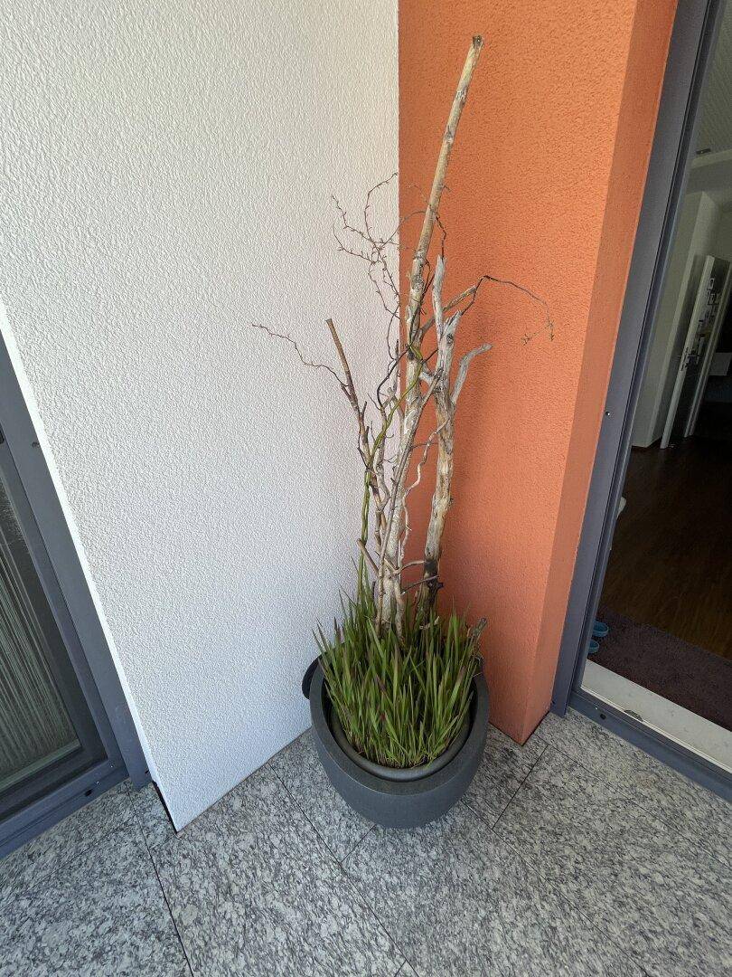 Ecke eines Balkons mit Fliesenboden und einer dekorativen Pflanze, umgeben von weißen und orangefarbenen Wänden.