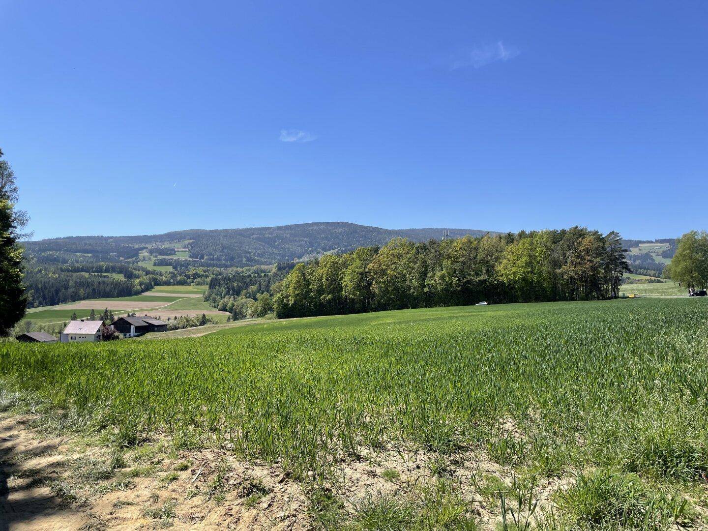 Ausblick auf ein weites grünes Feld mit einem Haus im Hintergrund und bewaldeten Hügeln unter blauem Himmel.