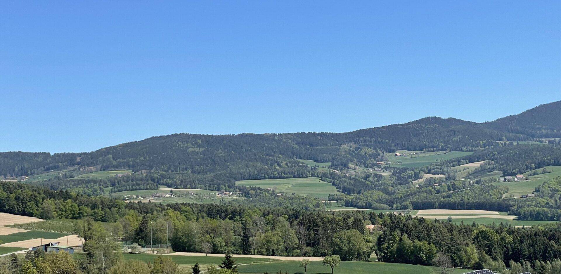 Weitläufiger Panoramablick über eine grüne, hügelige Landschaft mit Wäldern und Feldern unter blauem Himmel.