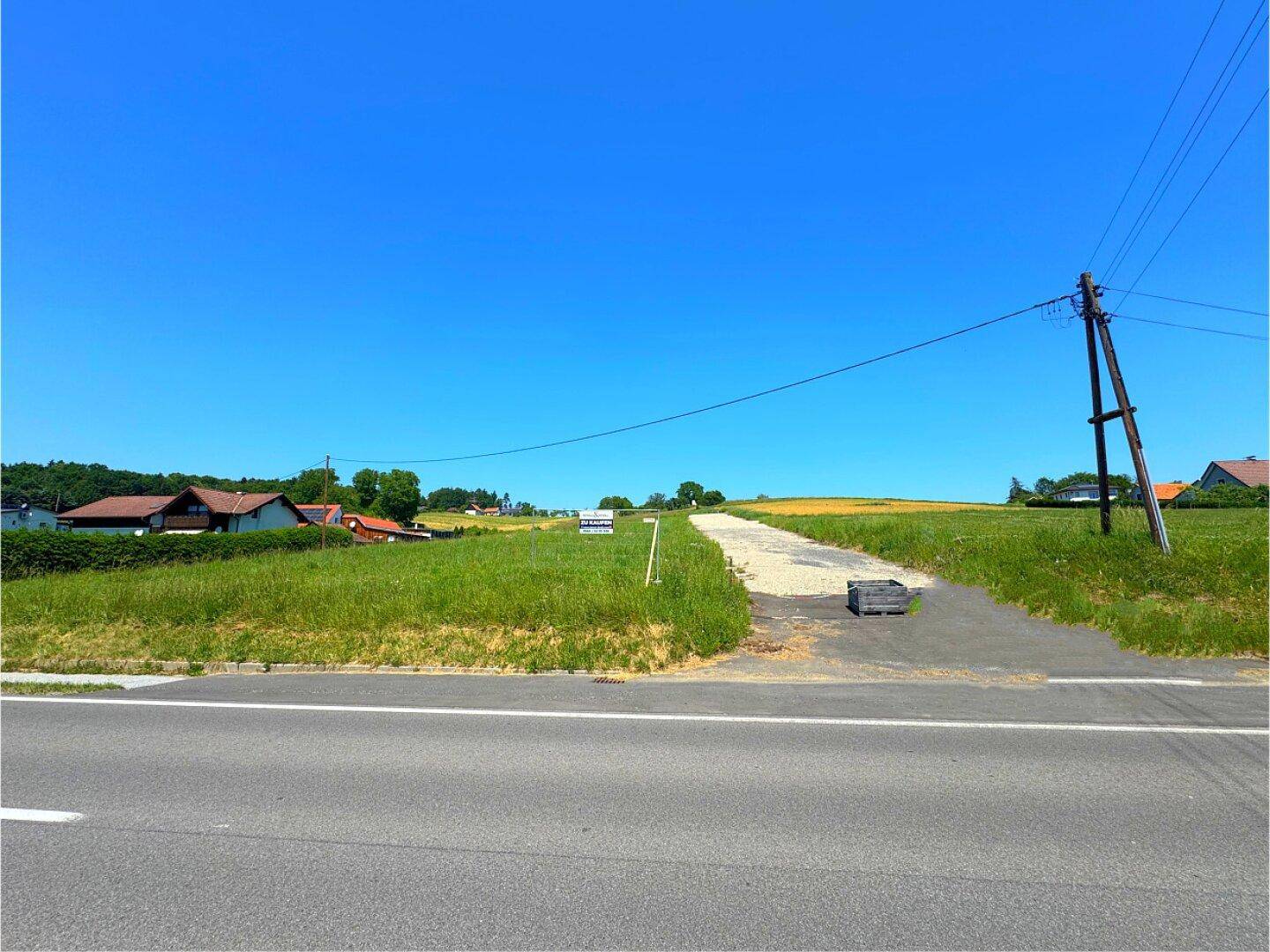 Blick von der Straße auf eine weite Wiese mit Strommasten und Häusern im Hintergrund.