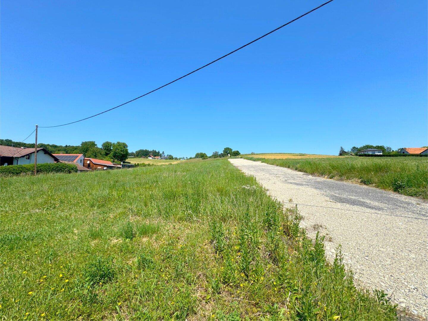 Schotterweg führt durch grüne Wiesen, umgeben von ländlicher Bebauung unter blauem Himmel.