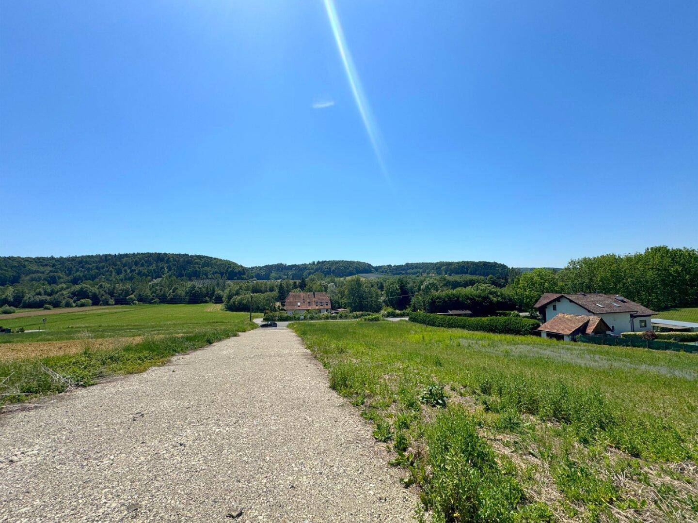 Sonniger Blick über ein weites Feld mit vereinzelten Häusern und bewaldeten Hügeln am Horizont.