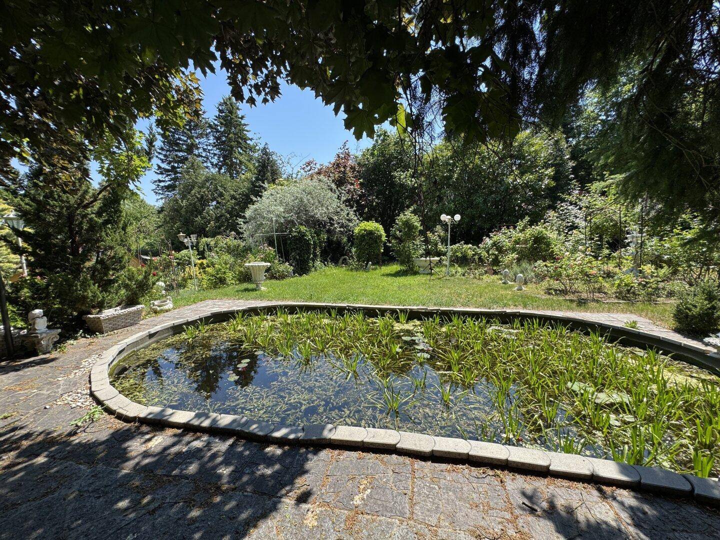 Großer Garten mit einem natürlichen Teich und vielen Bäumen im Hintergrund.