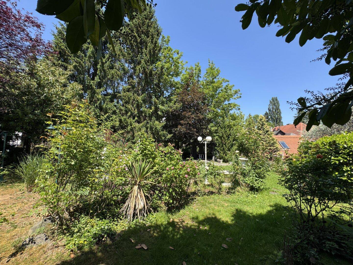 Vielfältiger Garten mit verschiedenen Pflanzen, Sträuchern und hohen Bäumen.