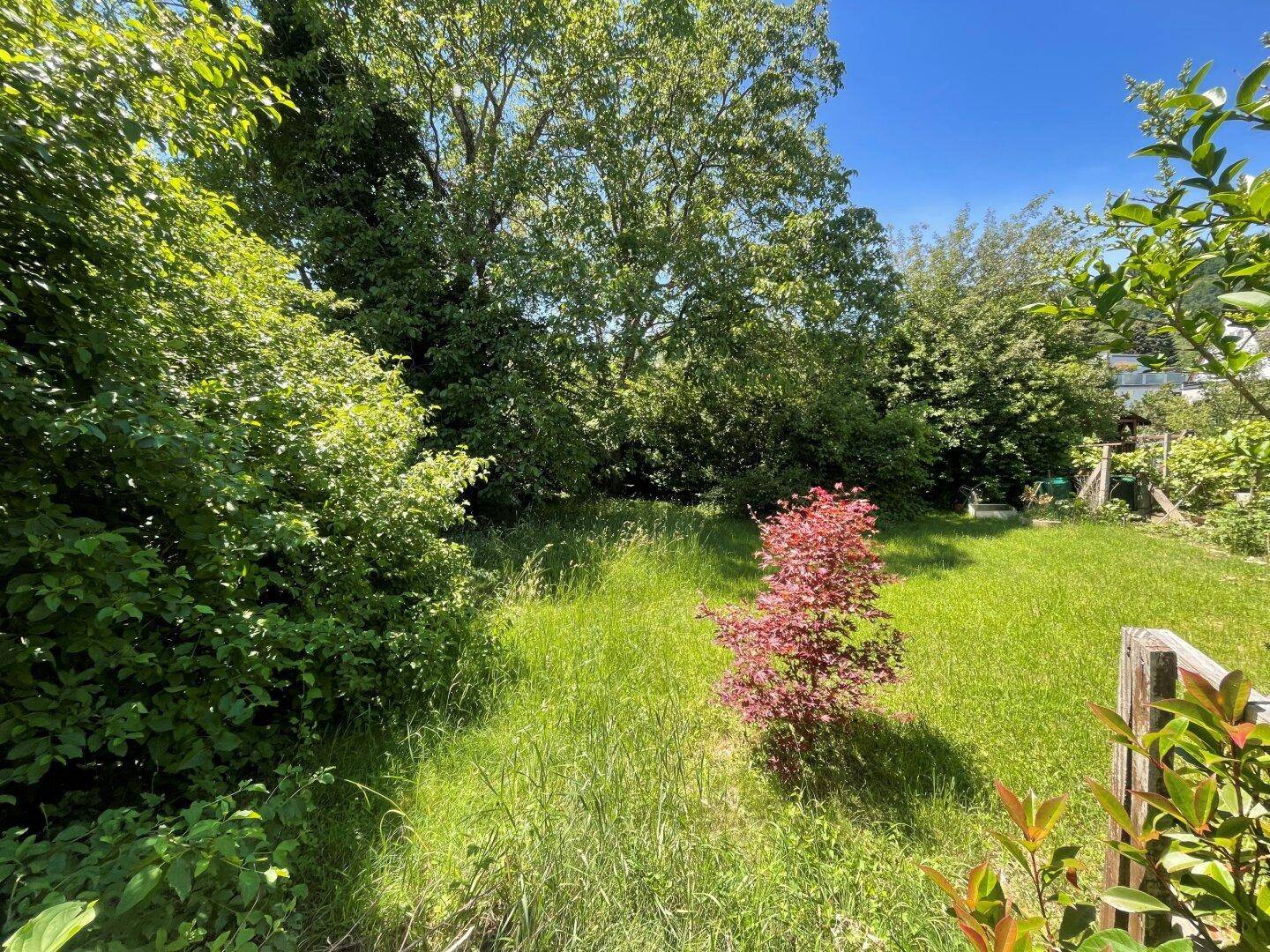 Thaddäus Stammelstrasse - sonniges, ebenmässiges Grundstück in absoluter Ruhelage 1.245 m² teilbar in 647 m² und 598 m² - Ansicht 2