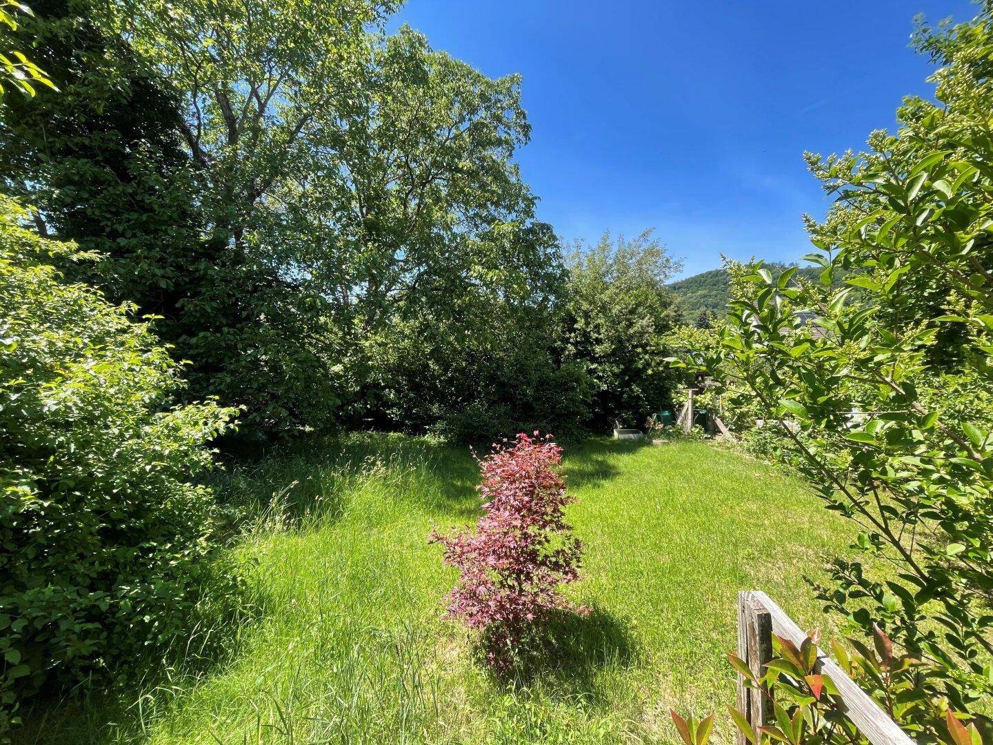 Thaddäus Stammelstrasse - sonniges, ebenmässiges Grundstück in absoluter Ruhelage 1.245 m² teilbar in 647 m² und 598 m² - Ansicht 3