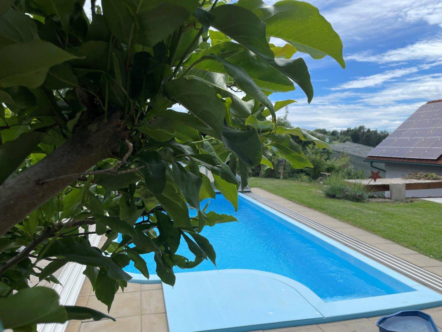Schwimmbecken im Freien mit blauer Abdeckung und angrenzendem Rasen, umgeben von üppigem Grün.