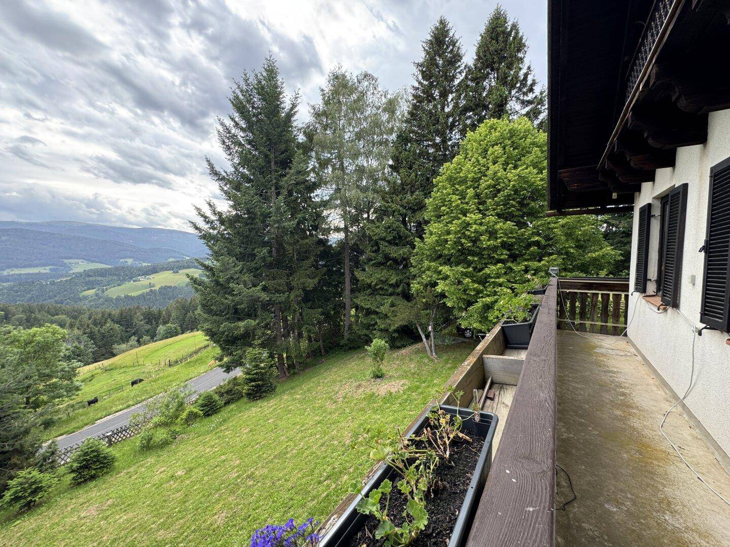 Balkon mit Blick auf die weite grüne Landschaft und hohe Nadelbäume.
