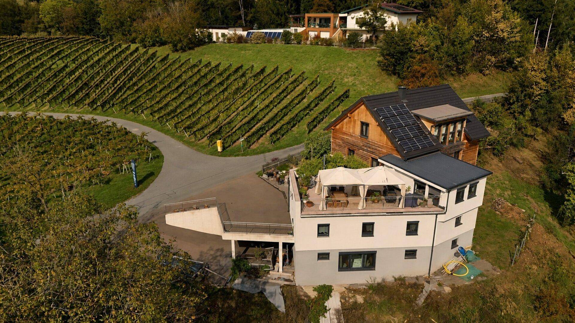 Luftaufnahme des Anwesens mit Haus, Dachterrasse und weitläufigen Weinbergen.