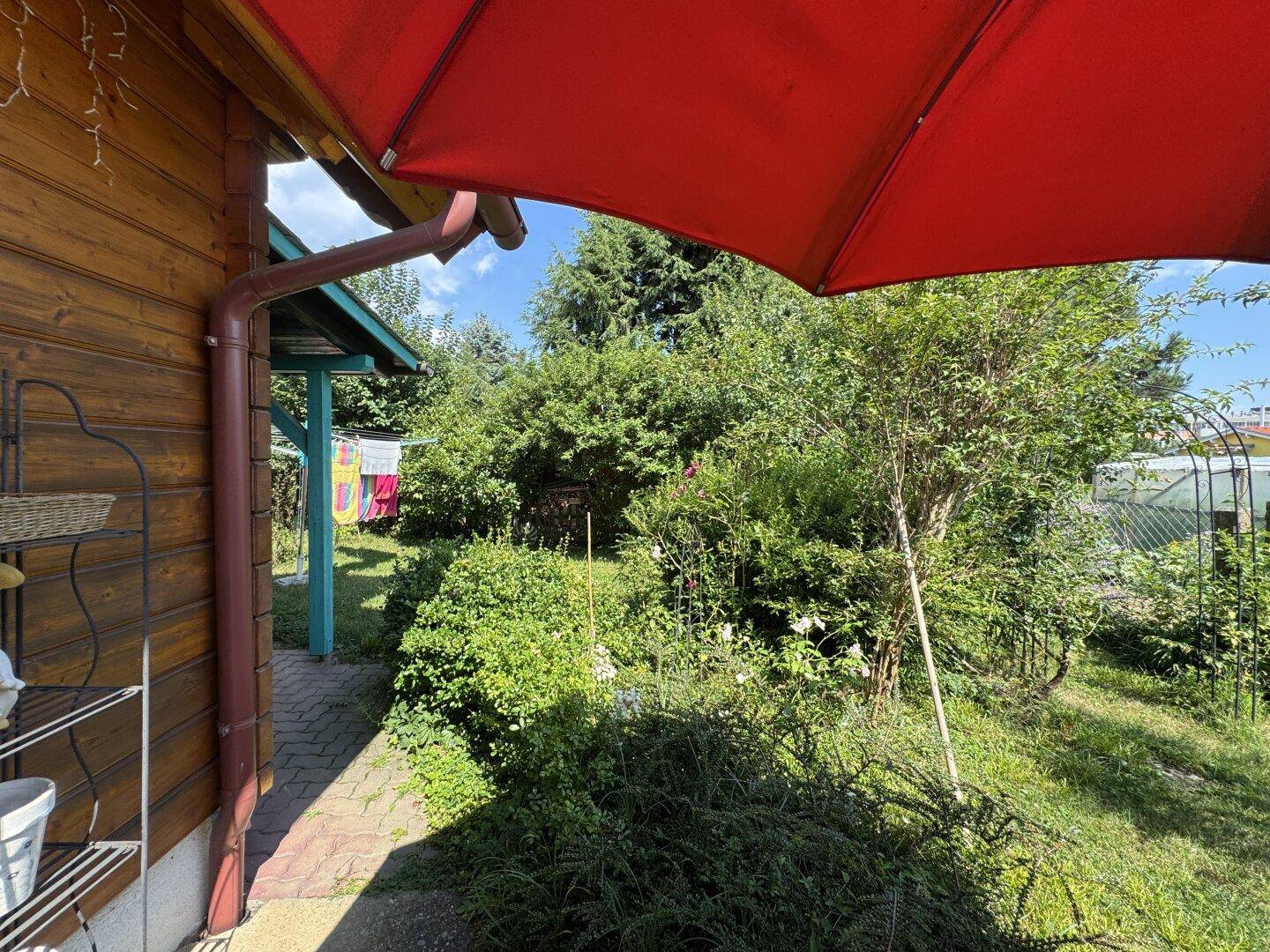 Blick in den üppigen Garten mit dichtem Grün und einem roten Sonnenschirm im Vordergrund.