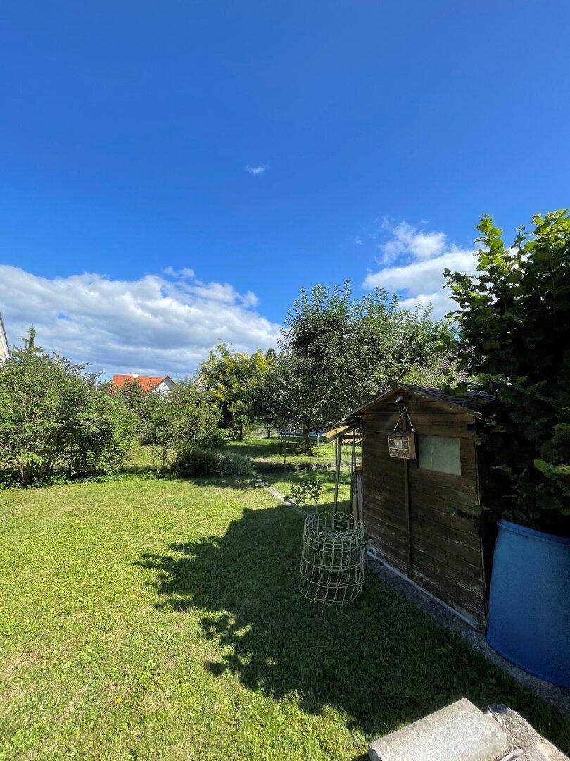 Weitläufiger Garten mit Rasen, Obstbäumen und einem kleinen Holzschuppen im Hintergrund.