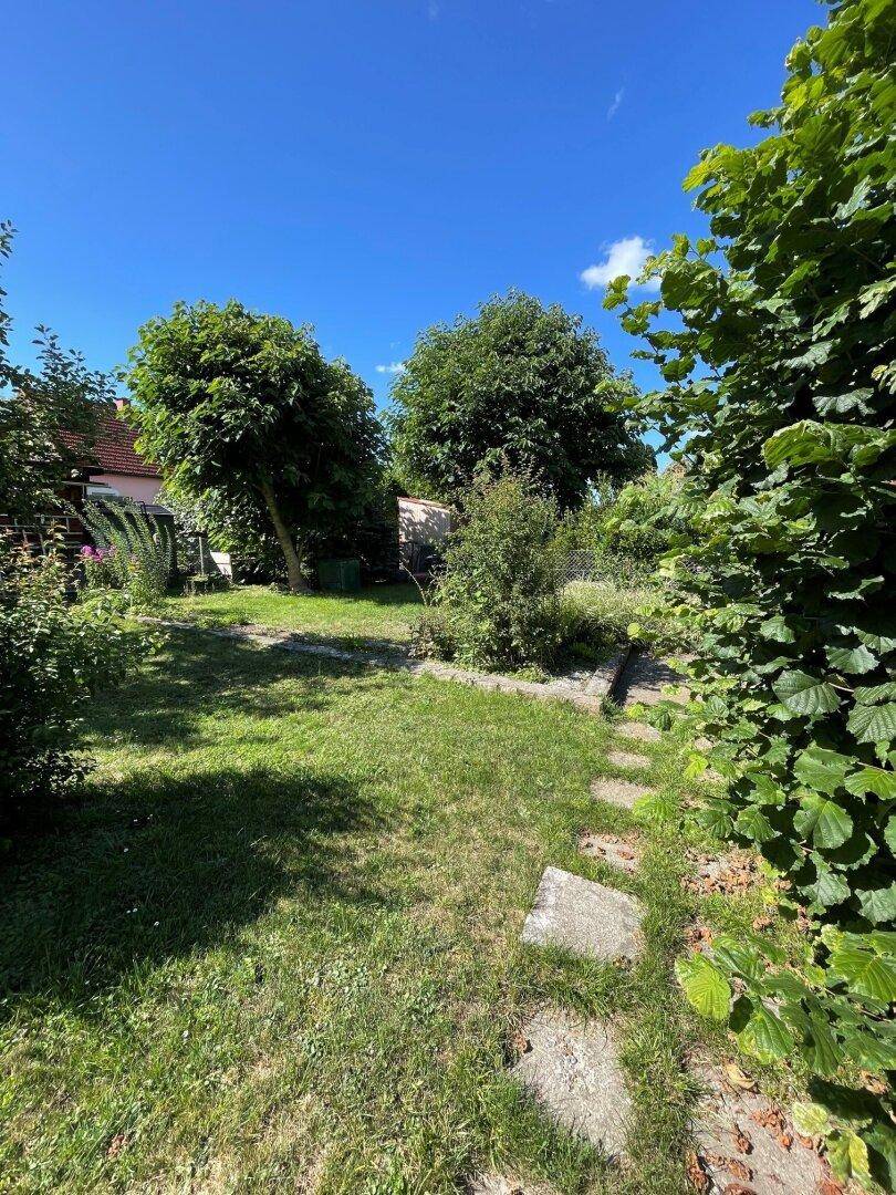Grüner Garten mit Bäumen und einem Steinweg, der durch die Rasenfläche führt.