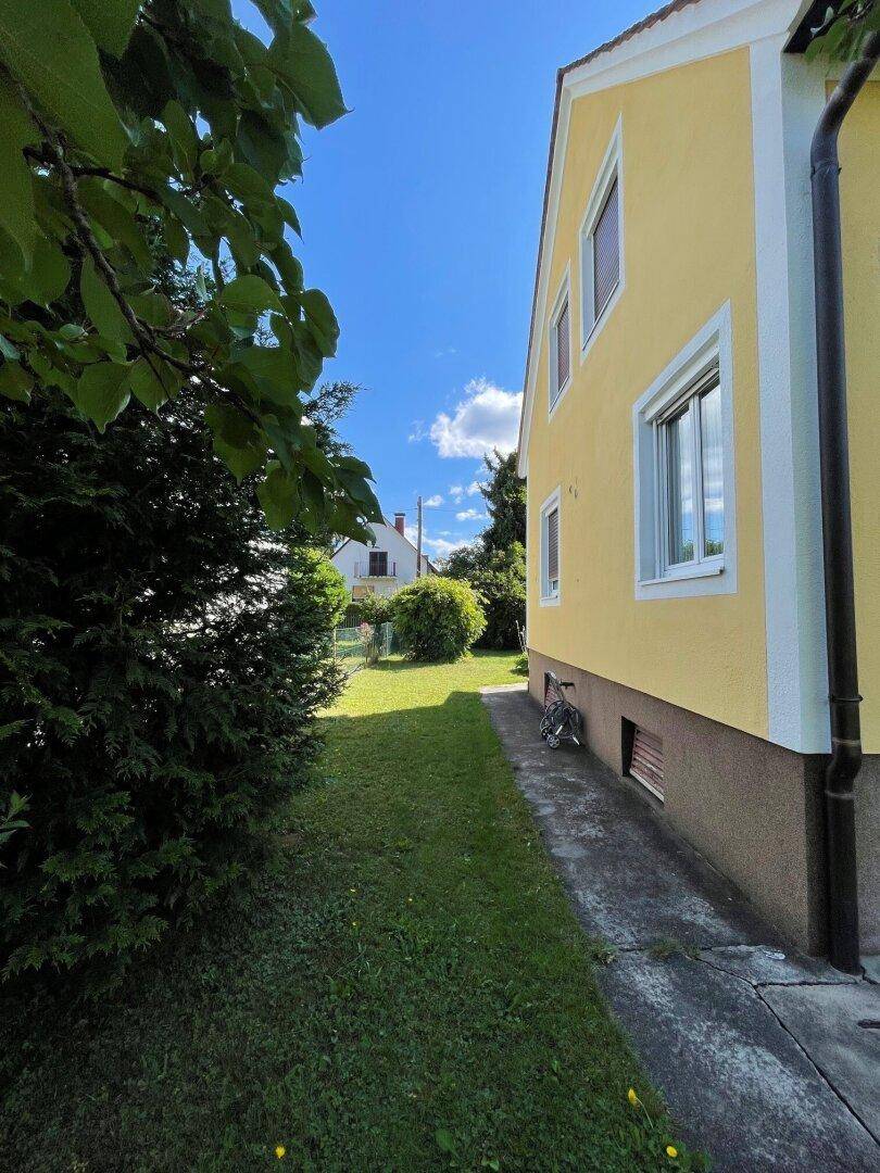 Seitenansicht des gelben Hauses mit schmalem Rasenstreifen und hohen Büschen.