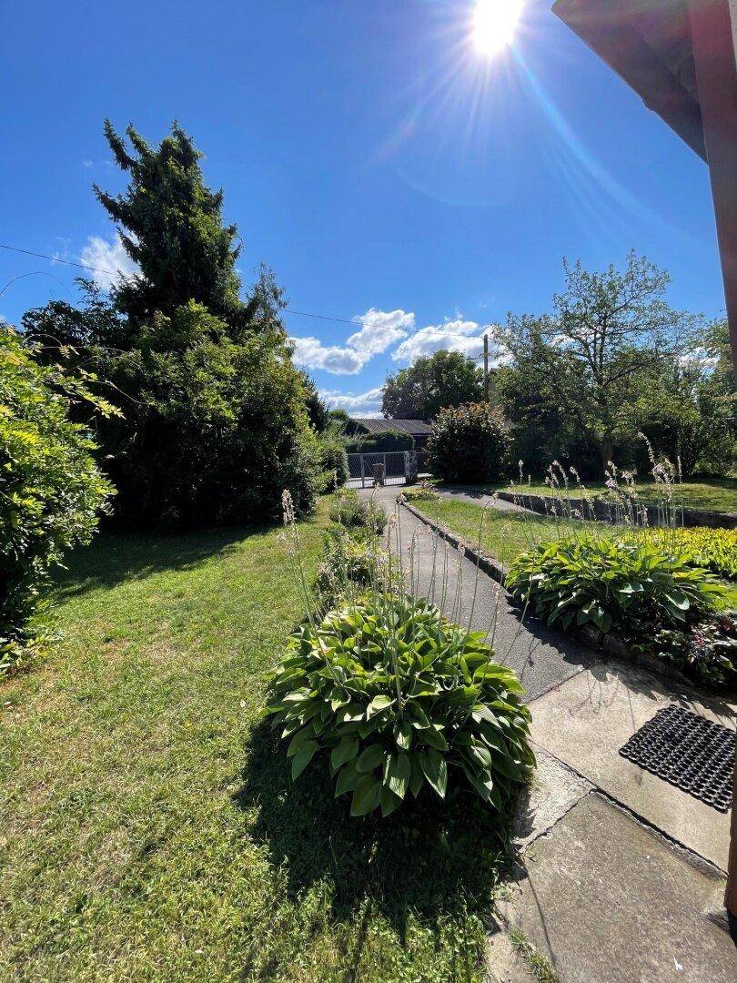 Sonniger Gartenweg umgeben von üppigen Pflanzen und Sträuchern, der zum Haus führt.