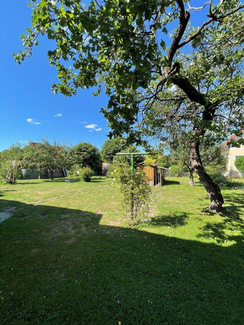 Großer, sonniger Garten mit Rasenfläche, alten Bäumen und einer Wäschespinne.